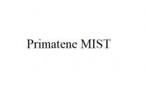 Primatene MIST