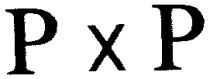P x P