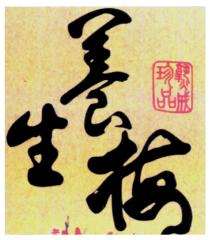 養生梅 成珍品
