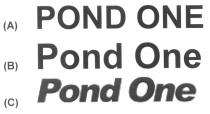 POND ONE Pond One