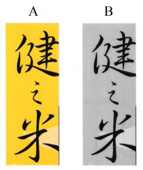 健之米