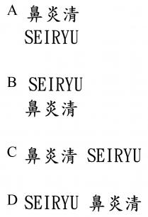 SEIRYU 鼻炎清