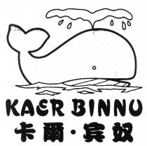 KAER BINNU 卡爾 宾奴