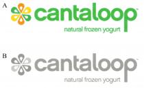cantaloop natural frozen yogurt