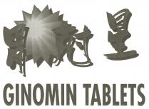 GINOMIN TABLETS 胃尅星