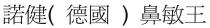 諾健(德國)鼻敏王