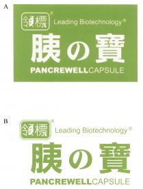 Leading Biotechnology PANCREWELLCAPSULE領標 胰寶