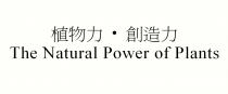 The Natural Power of Plants 植物力 創造力