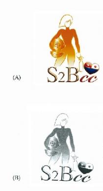 S2Bcc