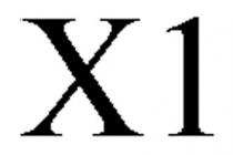 X1