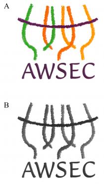 AWSEC