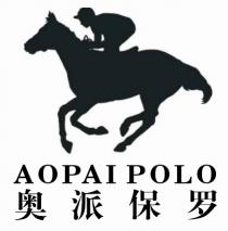 AOPAI POLO 奥派保罗