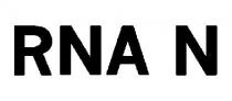 RNA N