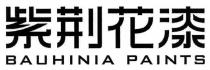 BAUHINIA PAINTS 紫荊花漆