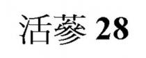 活蔘 28