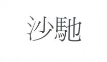 沙馳