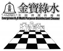 CAMPBELL Evergreen H2O Multi Purpose Disinfectant Cleaner 金寶 金寶綠水 全能清潔消毒劑