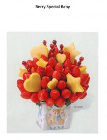 Berry Special Baby 2000