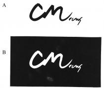 CM Leung