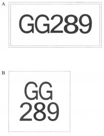 GG289 GG 289