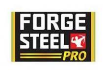 FORGE STEEL PRO