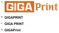 GIGA Print GIGAPRINT GIGA PRINT GIGAPrint
