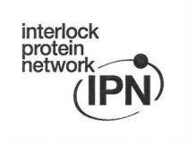 interlock protein network IPN