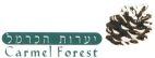 Carmel Forest יערות הכרמל