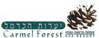 Carmel Forest SPA RESORT יערות הכרמל אחוזת בריאות וספא