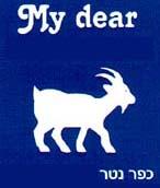 My dear מגבינת עיזים ביתית