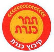 תמר כנרת קיבוץ כנרת