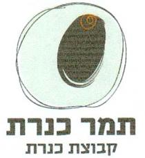 תמר כנרת קבוצת כנרת
