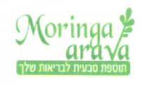 MORINGA ARAVA תוספת טבעית לבריאות שלך