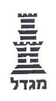 מגדל