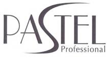 PASTEL Professional