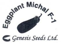 Eggplant Michal F-1 Genesis Seeds Ltd.