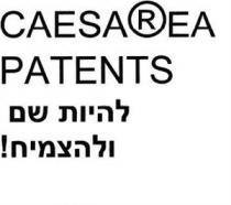 Caesarea Patents להיות שם ולהצמיח!