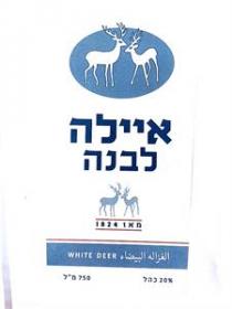 WHITE DEER איילה לבנה - מאז 1824الغزاله البيضاء