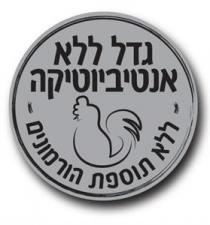 גדל ללא אנטיביוטיקה - ללא תוספת הורמונים -
