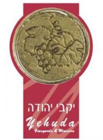 Yehuda Vineyards & Wineries יקבי יהודה