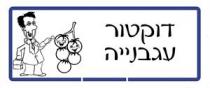 דוקטור עגבנייה