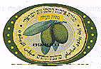 מועצת הזיתים