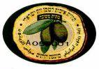 מועצת הזיתים