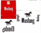 MUSTANG מוסטנג
