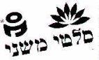 סלטי משני