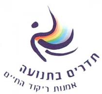 תדרים בתנועה אמנות ריקוד החיים