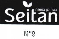 Seitan סייטן בשר מן הצומח