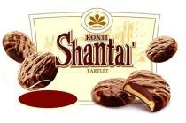 KONTI SHANTAL TARTLET