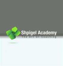 Shpigel Academy The Art Of Coaching