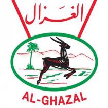 AL-GHAZAL الغزال